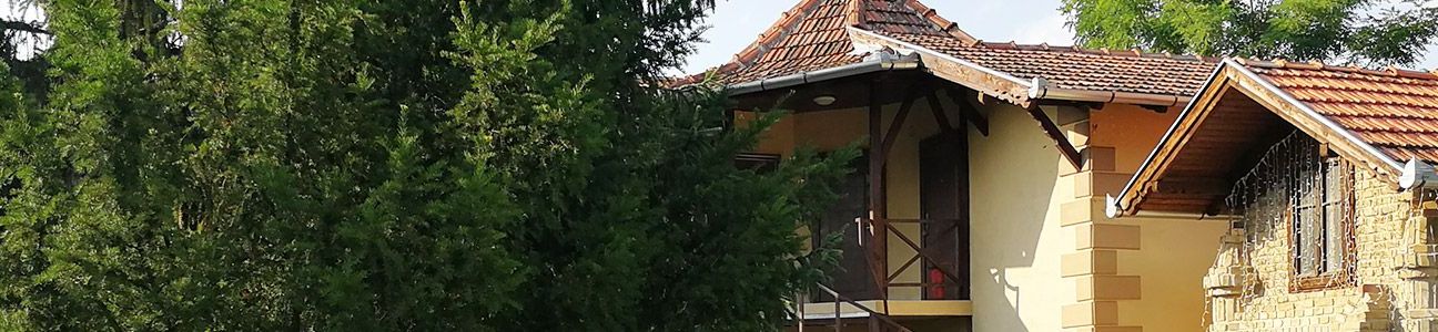 VILA MARIJA PALIĆ