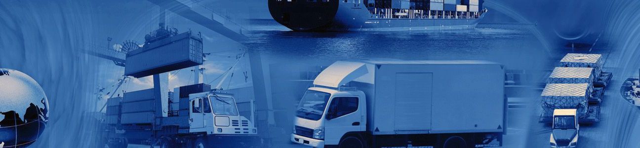 SVS COMMERCE DOO SUBOTICA