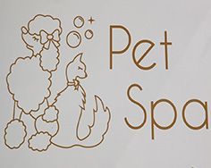 PET SPA