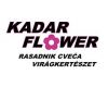 KADAR FLOWER