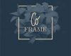CO FRAME