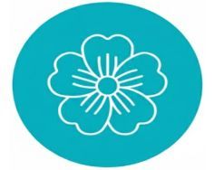 PRIMULA GARDEN