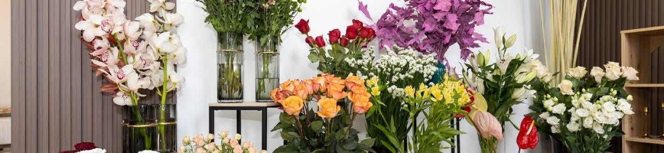 STUDIO VERDE - CVEĆARA